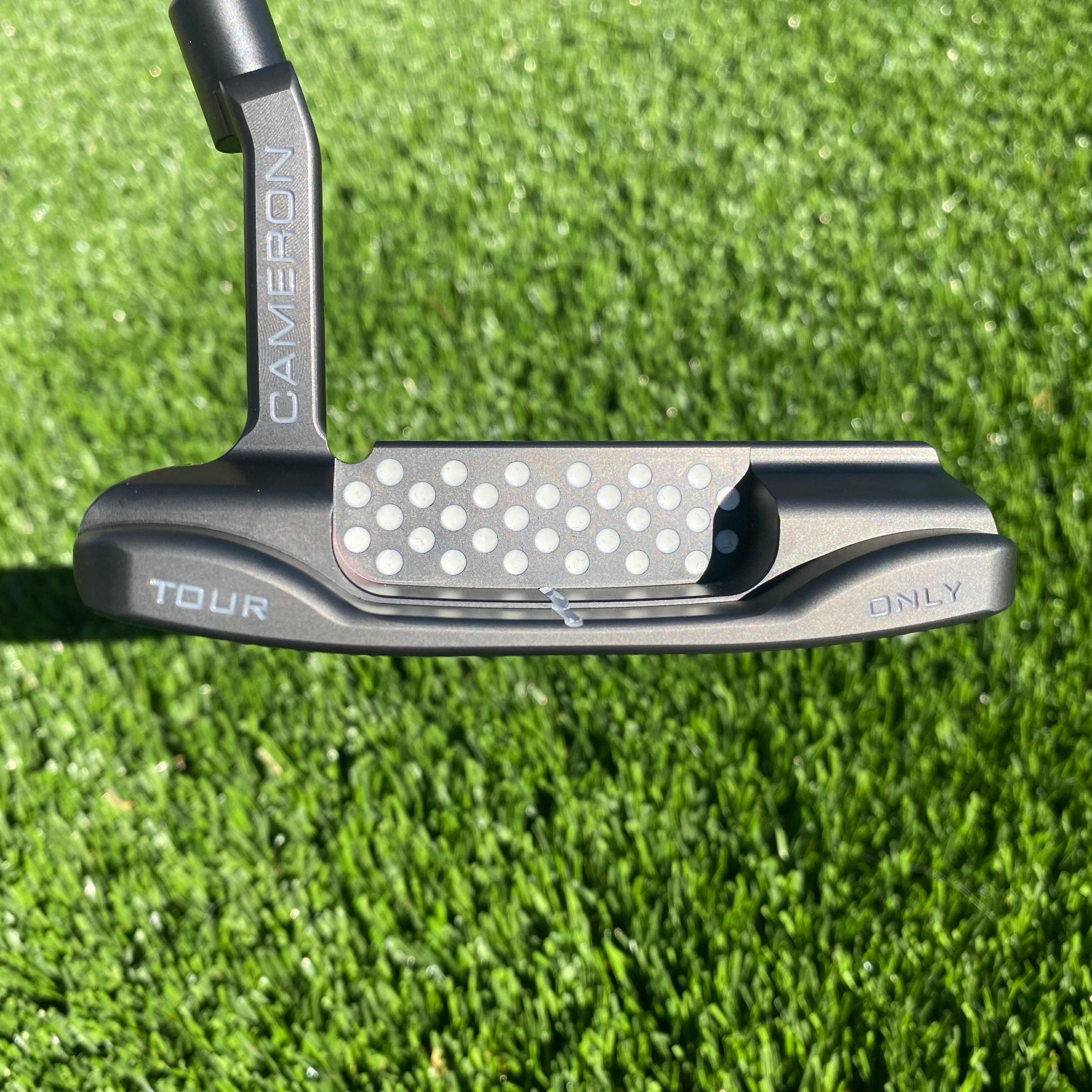 Teryllium Newport Tour (TNP) – scotydaletourcamerons